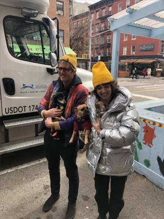 Luca Benedetti holds the couple’s existing pet chihuahua while wife Becca Franks cuddles the two new chihuahas that they adopted from the PupStartz Rescue van that day. Photo: Keith J. Kelly