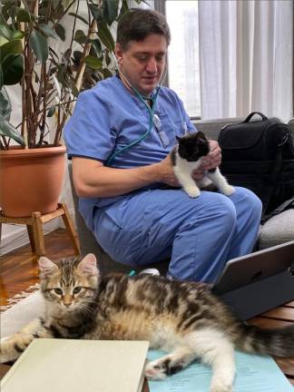 Dr. Jonahtan Leshanski says he’s treated a cat whose tail accidentally caught on fire after as walked away from investigation a small burning candle.