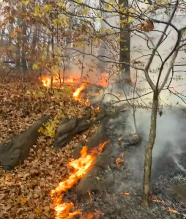 The brush fire that erupted in Inwood Hills Park in northern Manhattan on Nov. 13 burned at least four acres in the 198-acre park, which is one of the last natural forests remaining on the island of Manhattan.