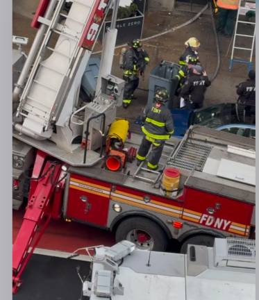 Firefighters shortly after rescuing Bella from an apartment building fire that killed her owner in the East Village on the morning of Feb. 2,