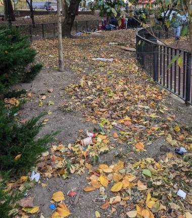 Anarchy in Sara D. Roosevelt Park, Where Anything, It Often Appears, Goes