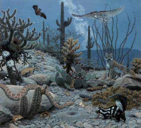 One of the paintings by Jay Matternes features Ecosystems at Night.