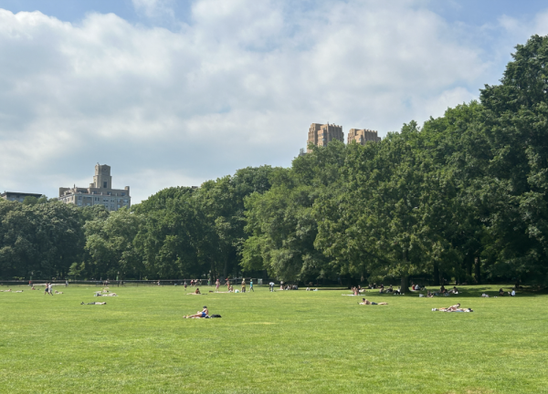 <b>Parkgoers enjoy the sun in Sheep Meadow before the heat becomes unbearable. </b>