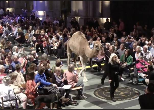 One hump Sunday at Cathedral of Saint John the Divine, October 6, 2024.