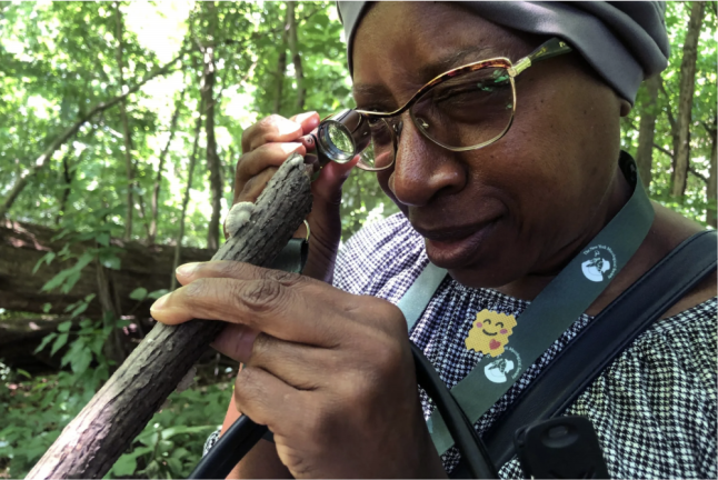 New York Mycological Society member Vivian Young examines a fungus during a walk in Van Cortlandt Park in The Bronx, June 16, 2024.