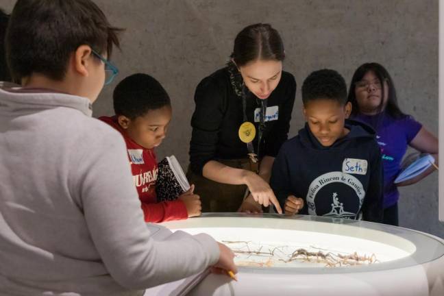 School kids being taught by museum educators at the Museum of Natural History.