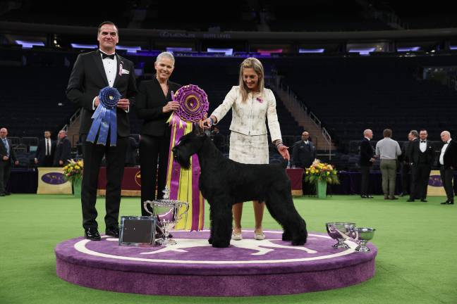 Katherine Bernardin and her giant Schnauzer, Monty, receive ribbon for Best in Show at the 149th Westminster Kennel Club Dog Show on Feb. 11.