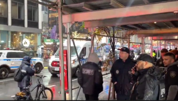 Several pro-Palestinian protestors were arrested for trying to block the parade at Sixth Ave. and 55th St. around 9:30 a.m. Police said 25 protestors were taken to 1 Police Plaze and issued summonses.