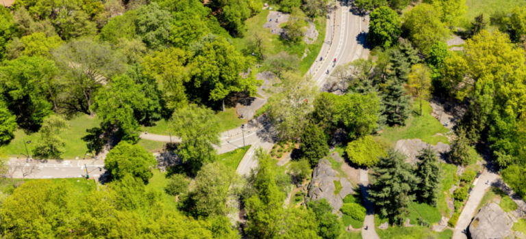 An aerial view of Central Park.